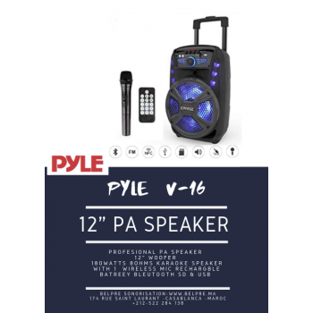 Le produit électronique BLEUTOOTH 12"speaker box amplifié avec 2  micro sans fills PP2512AUS au casablanca maroc .