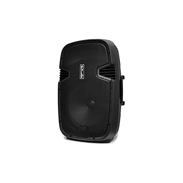 Le produit électronique BLEUTOOTH 10"speaker box amplifié avec 2  micro sans fills PP2510AUS au casablanca maroc .